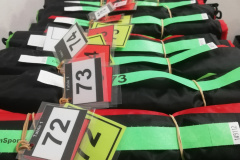 Comrades 2023